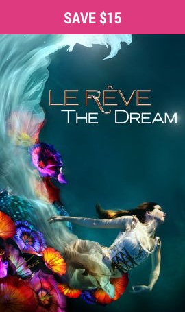Le Reve - The Dream
