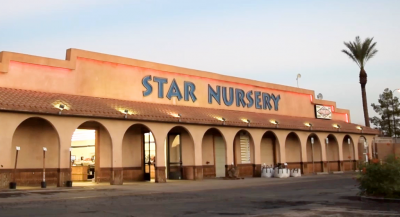 Star Nursery Garden Centers - Go Vegas Yourself